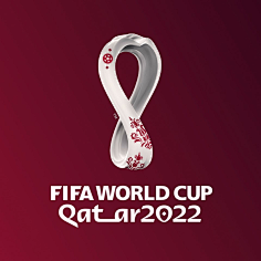 入世界杯